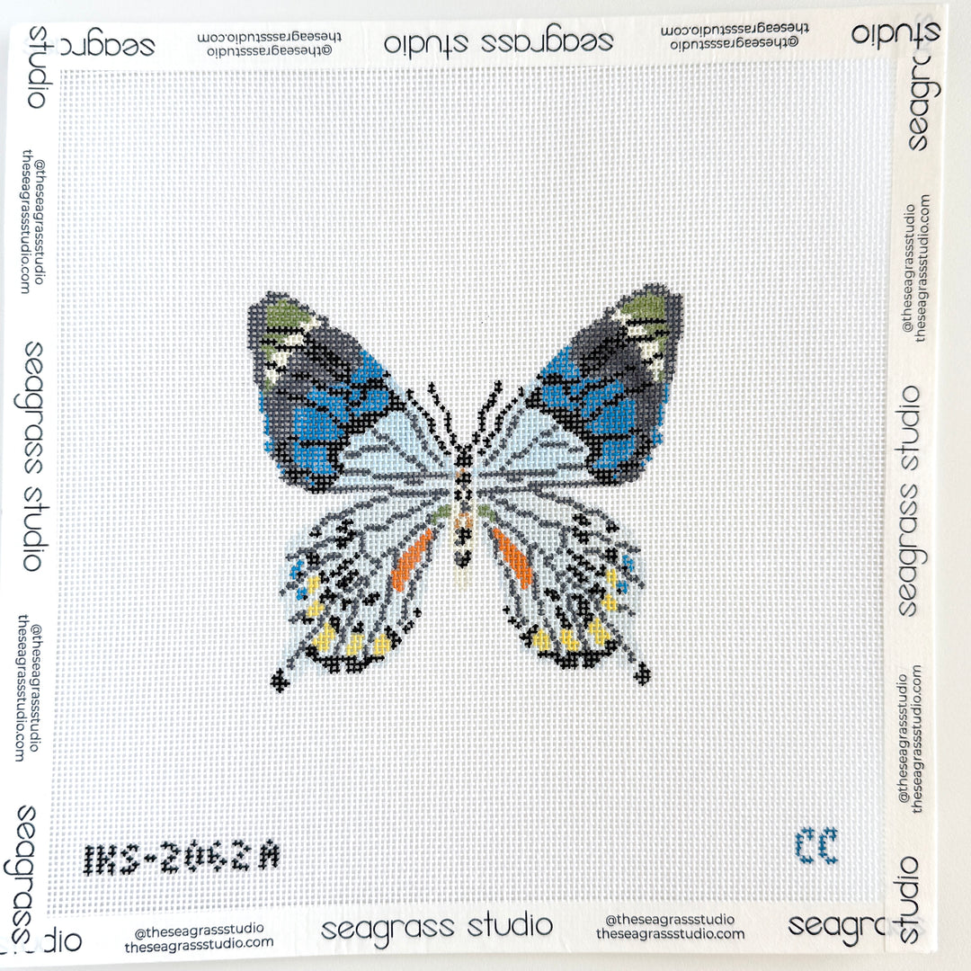Blue Grey Butterfly