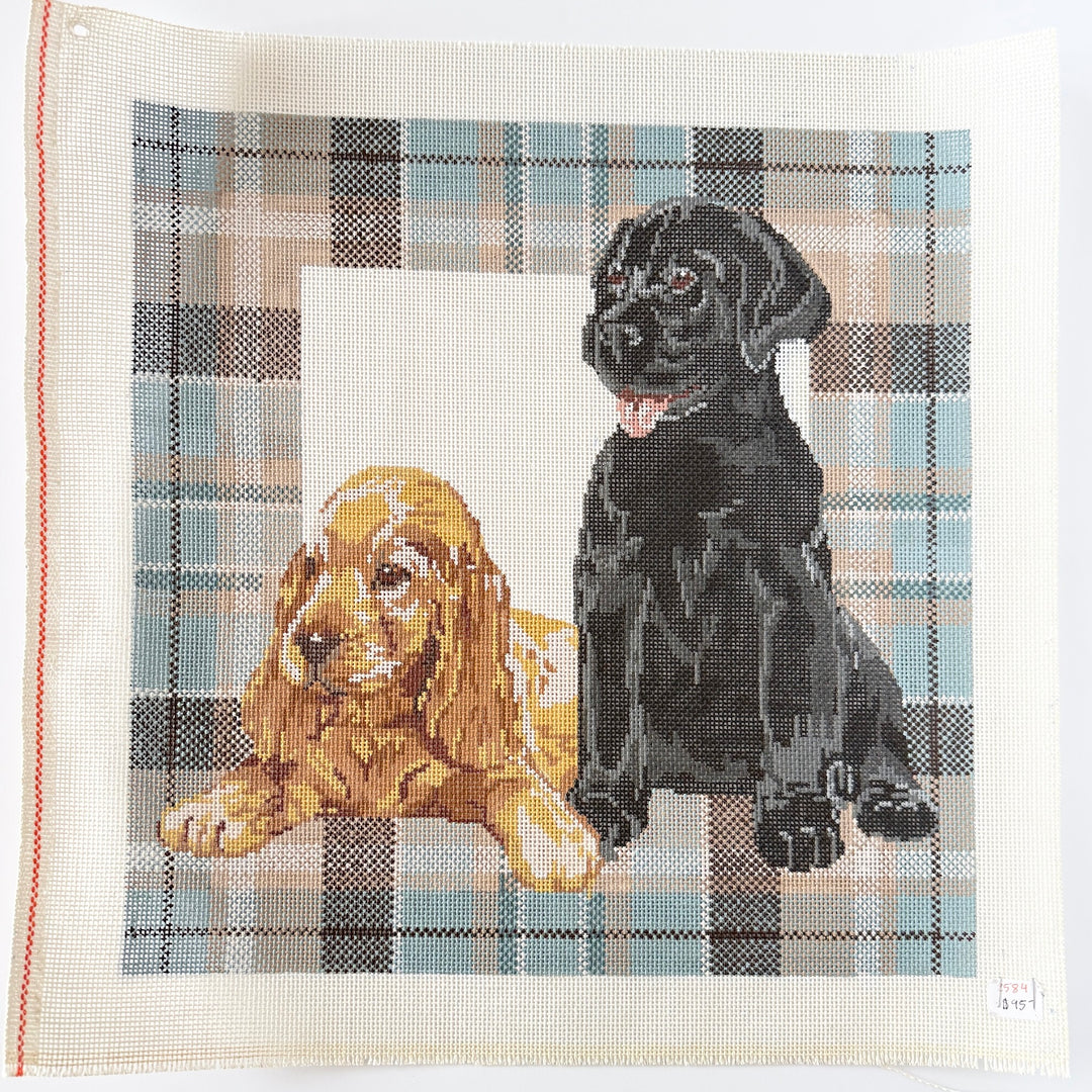 puppies on plaid