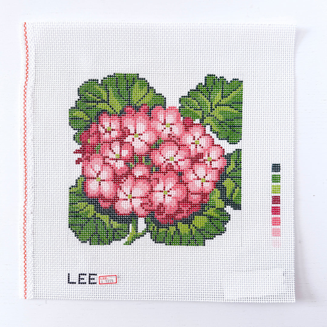 geranium