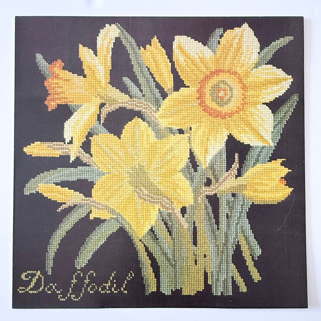 the daffodil