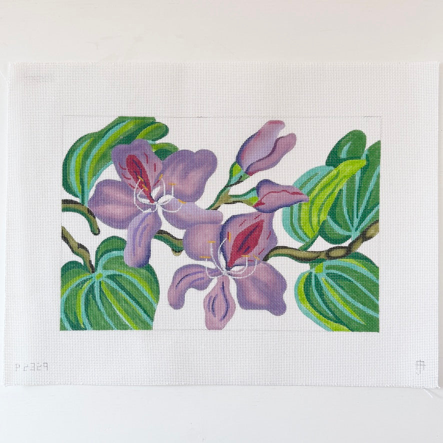 Purple Orchid