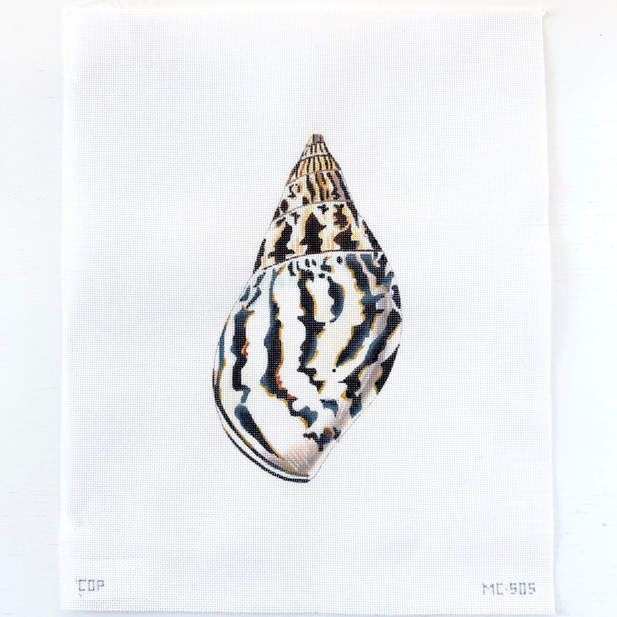 large shell back
