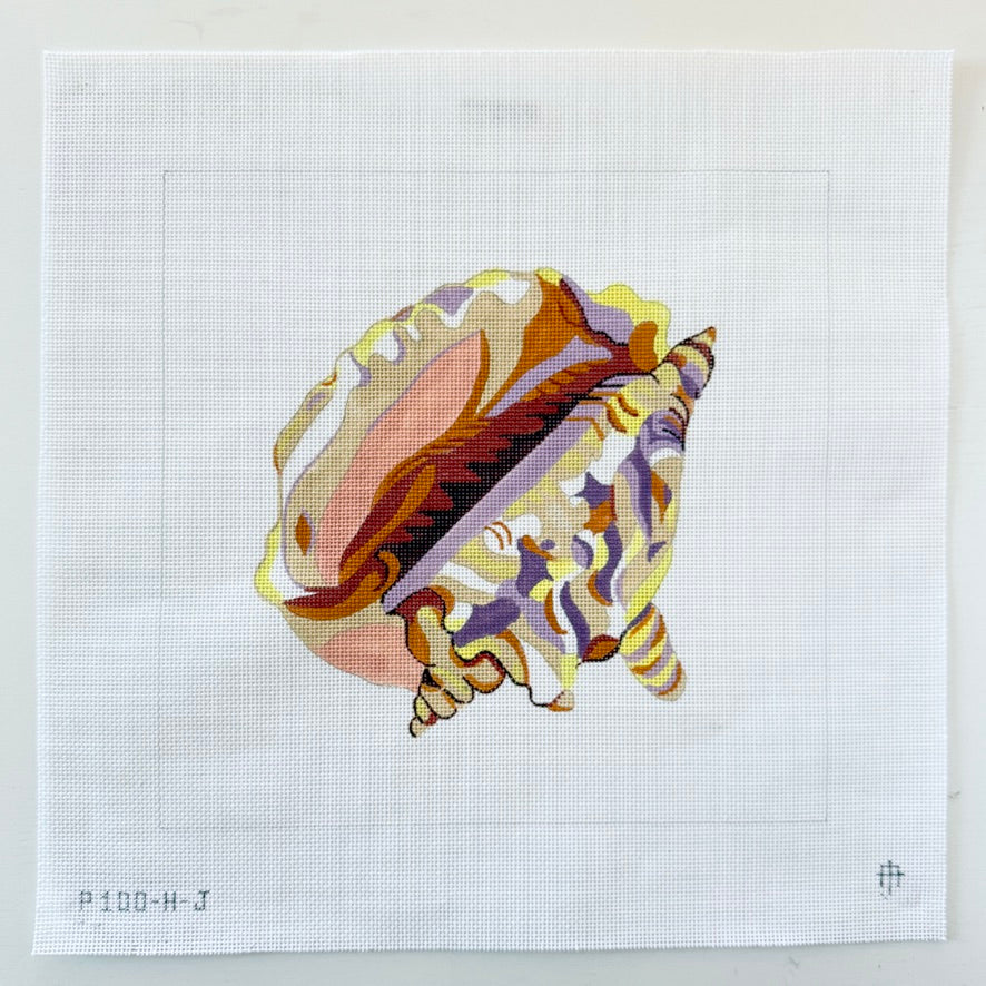 conch shell
