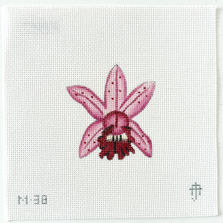 Pink Orchid Mini