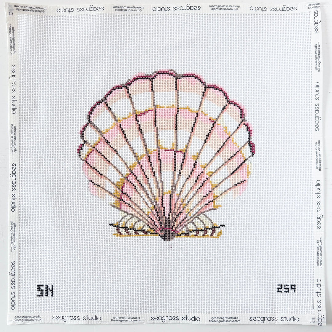 scallop shell