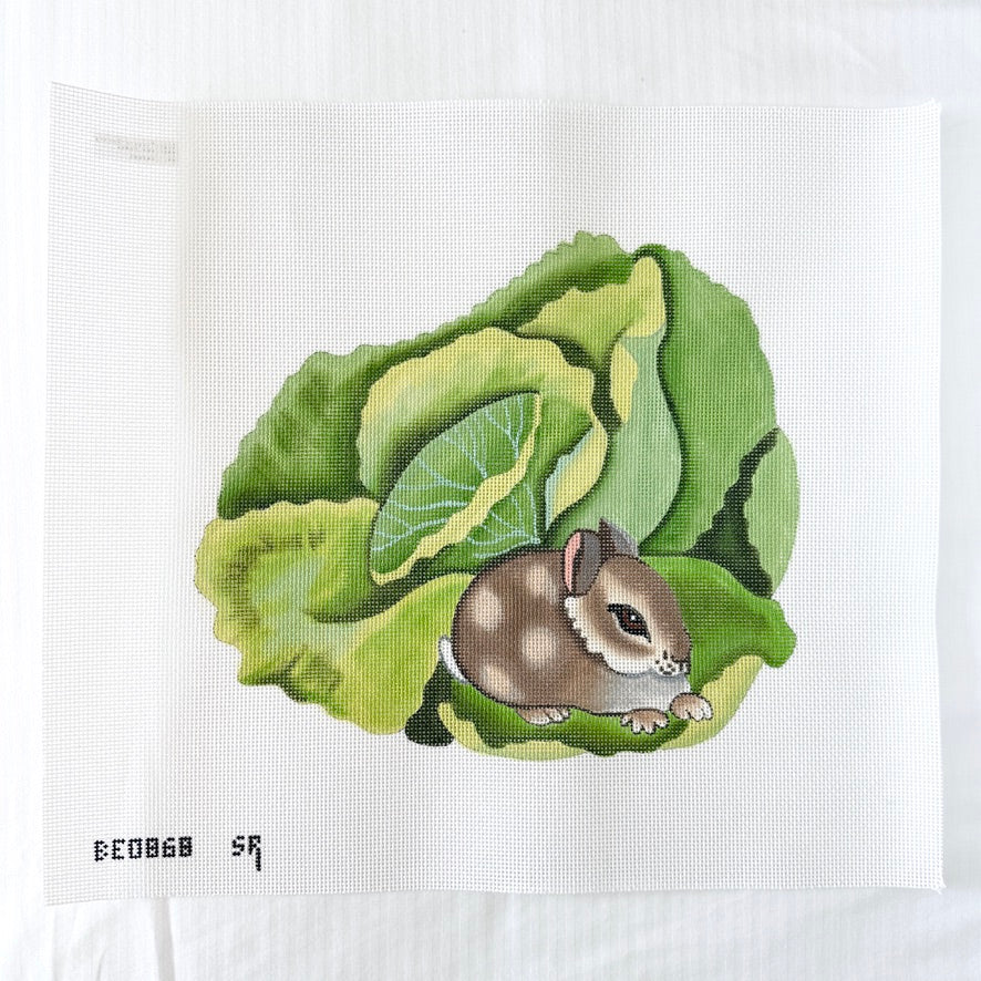 bunny on cabbage