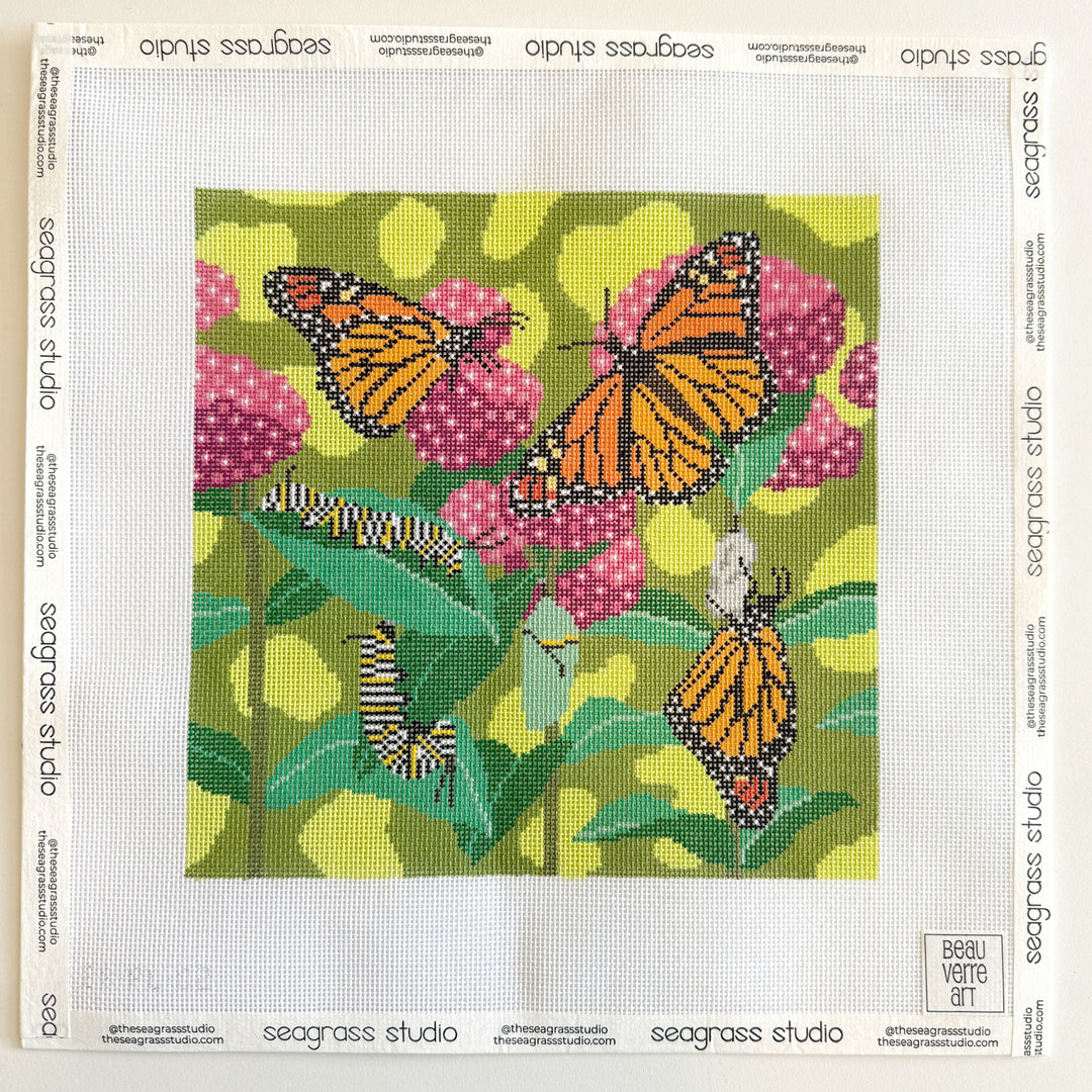 monarch life cycle canvas