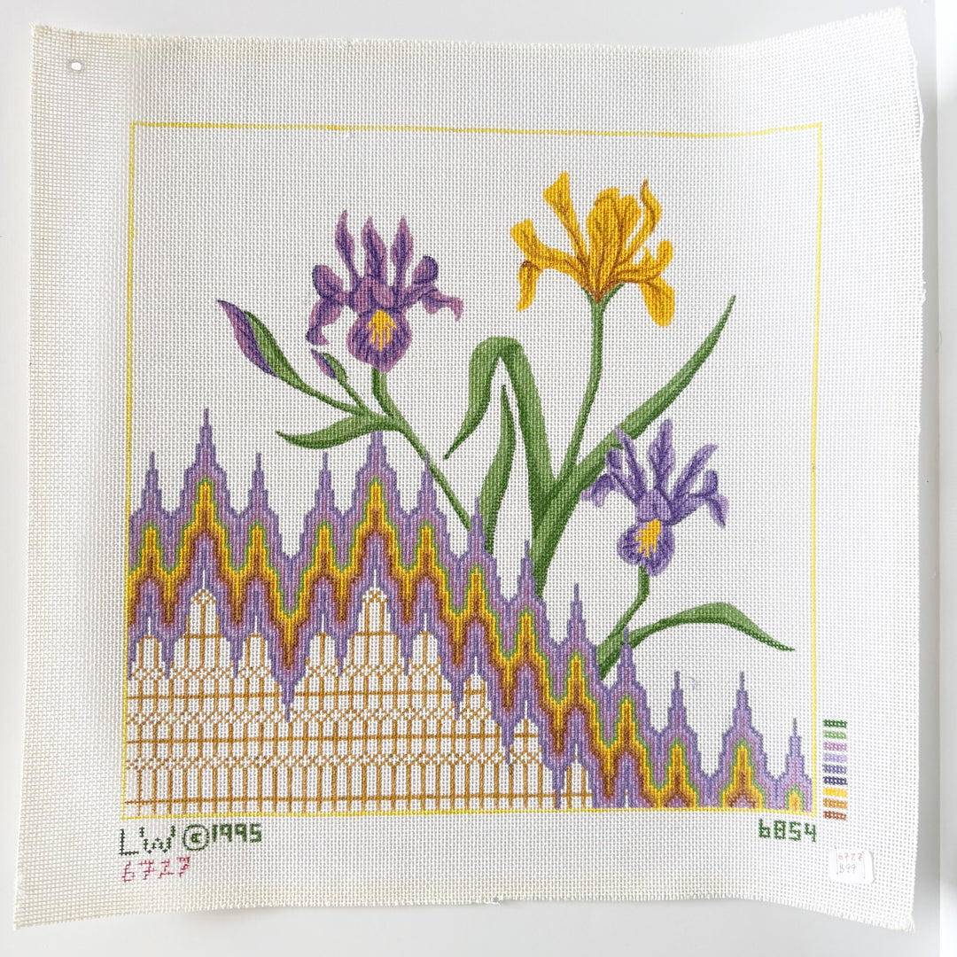 purple iris