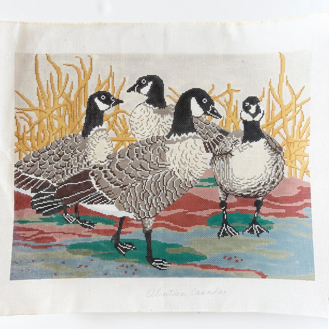 canadian geese