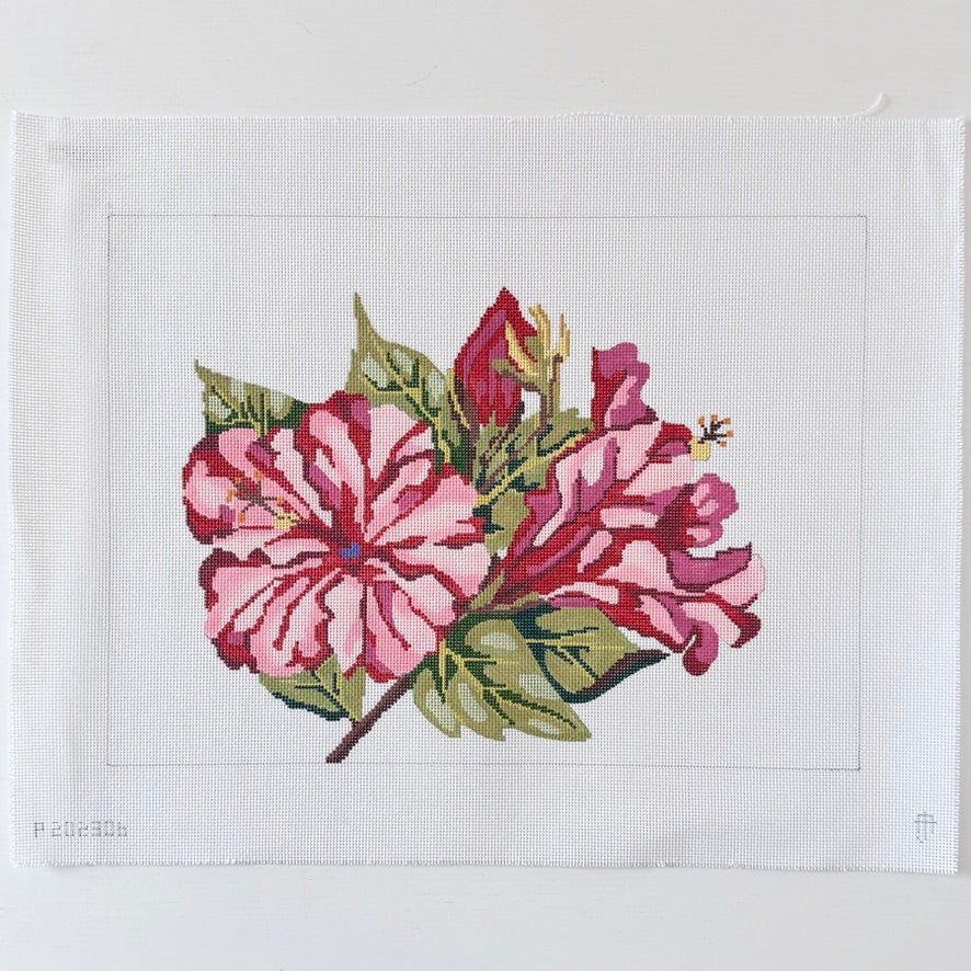 Hibiscus Bloom