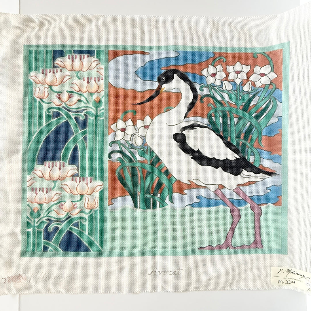 avocet