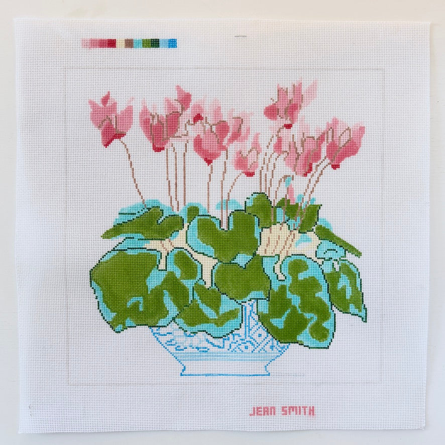 cyclamen