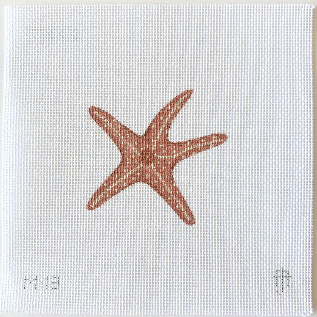 Starfish Mini