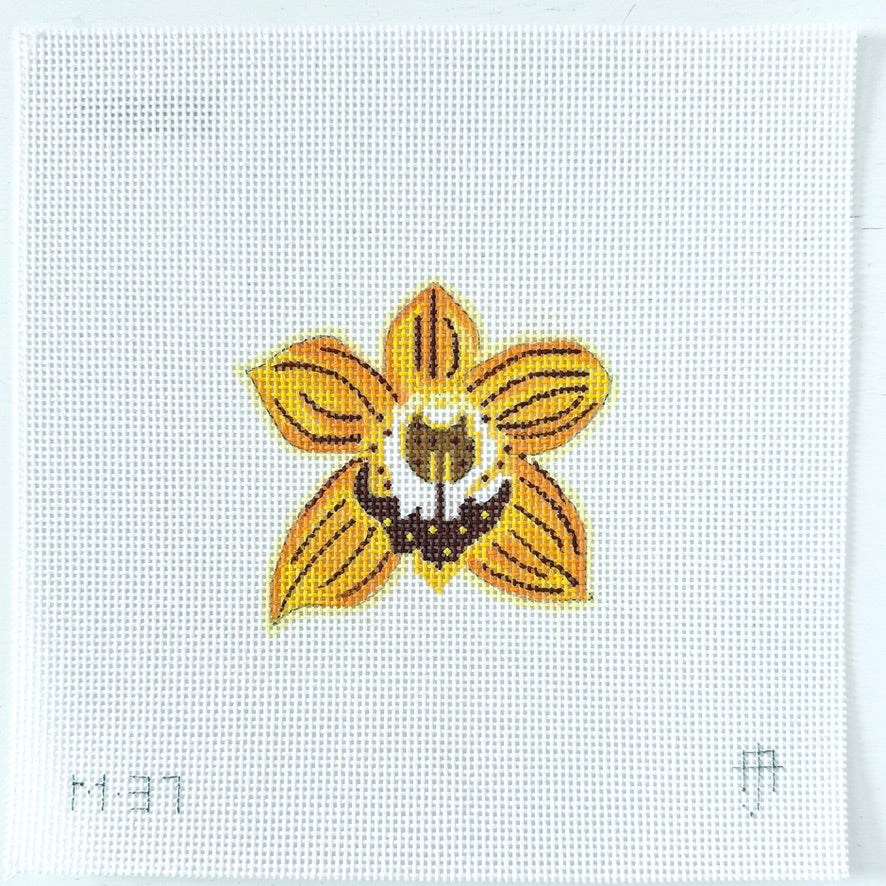 Yellow Orchid Mini