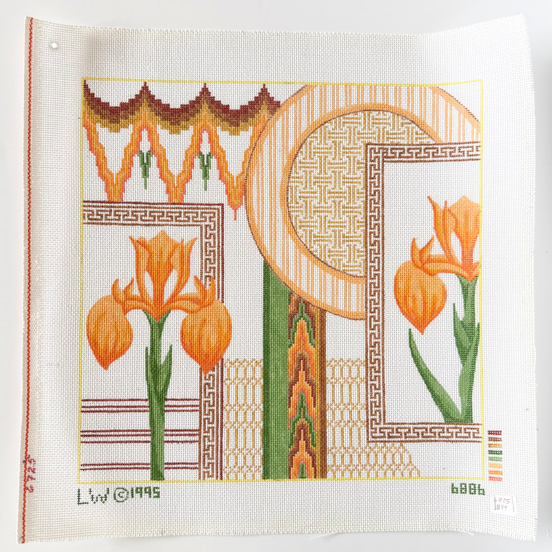 orange iris