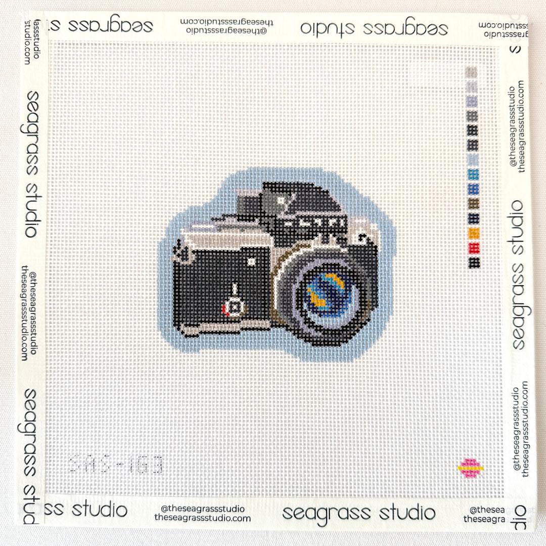 SLR camera