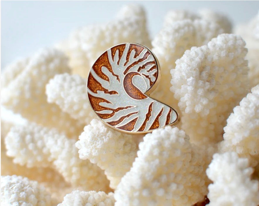 Nautilus Shell Needle Minder