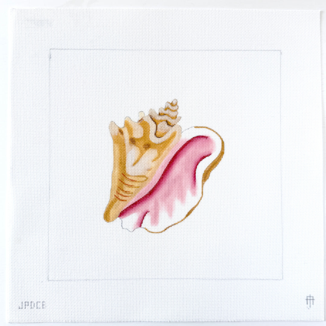 Conch Solo