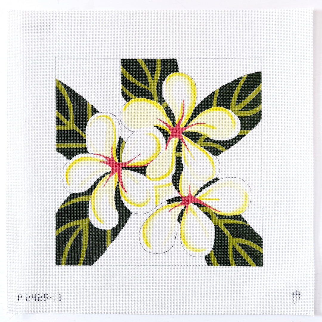 Frangipani Flower