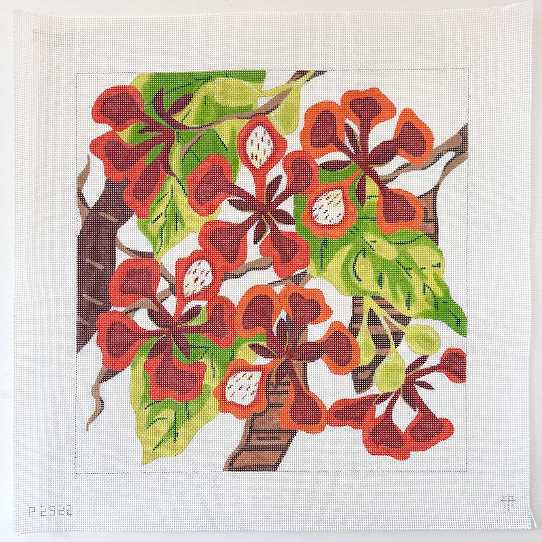 Royal Poinciana