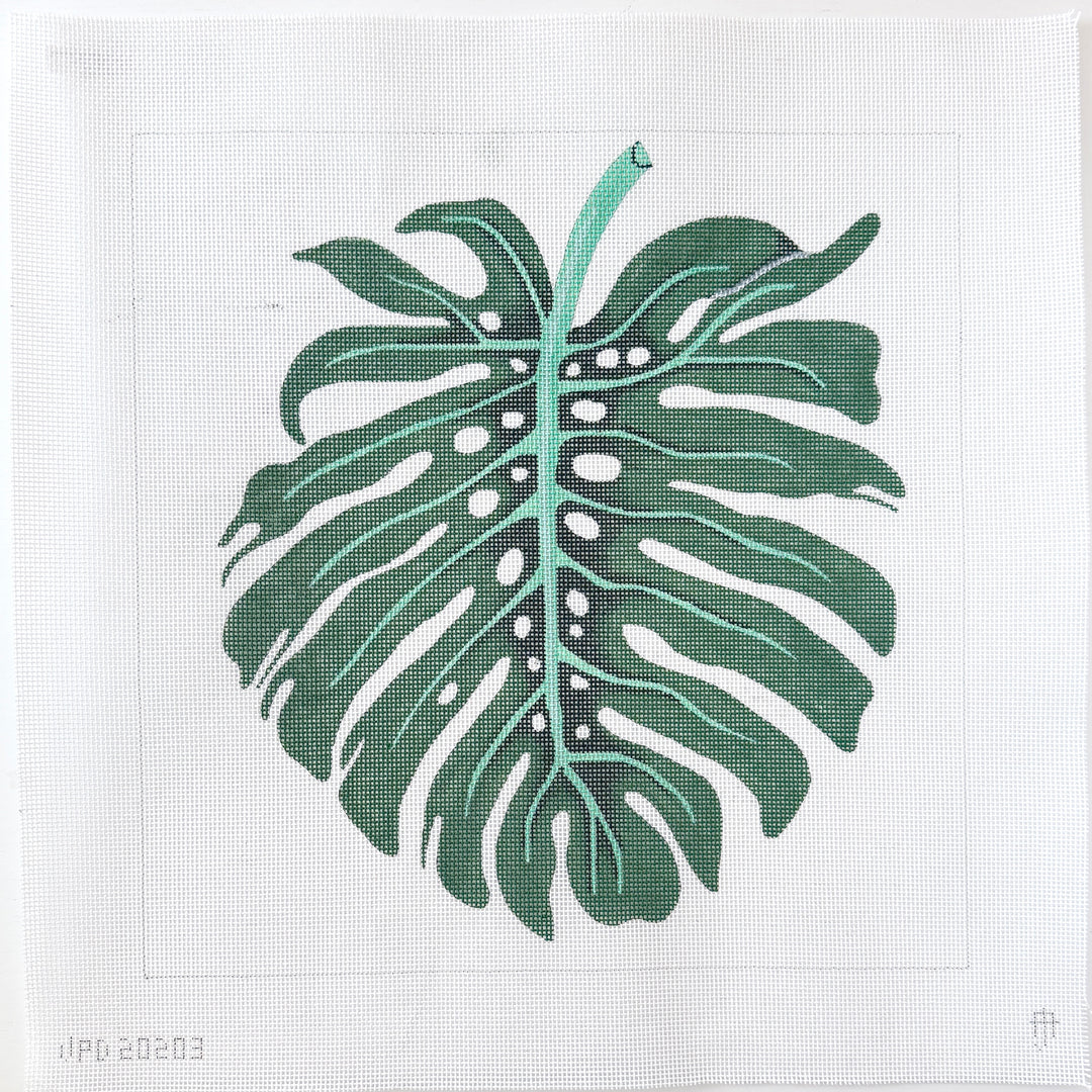 Monstera