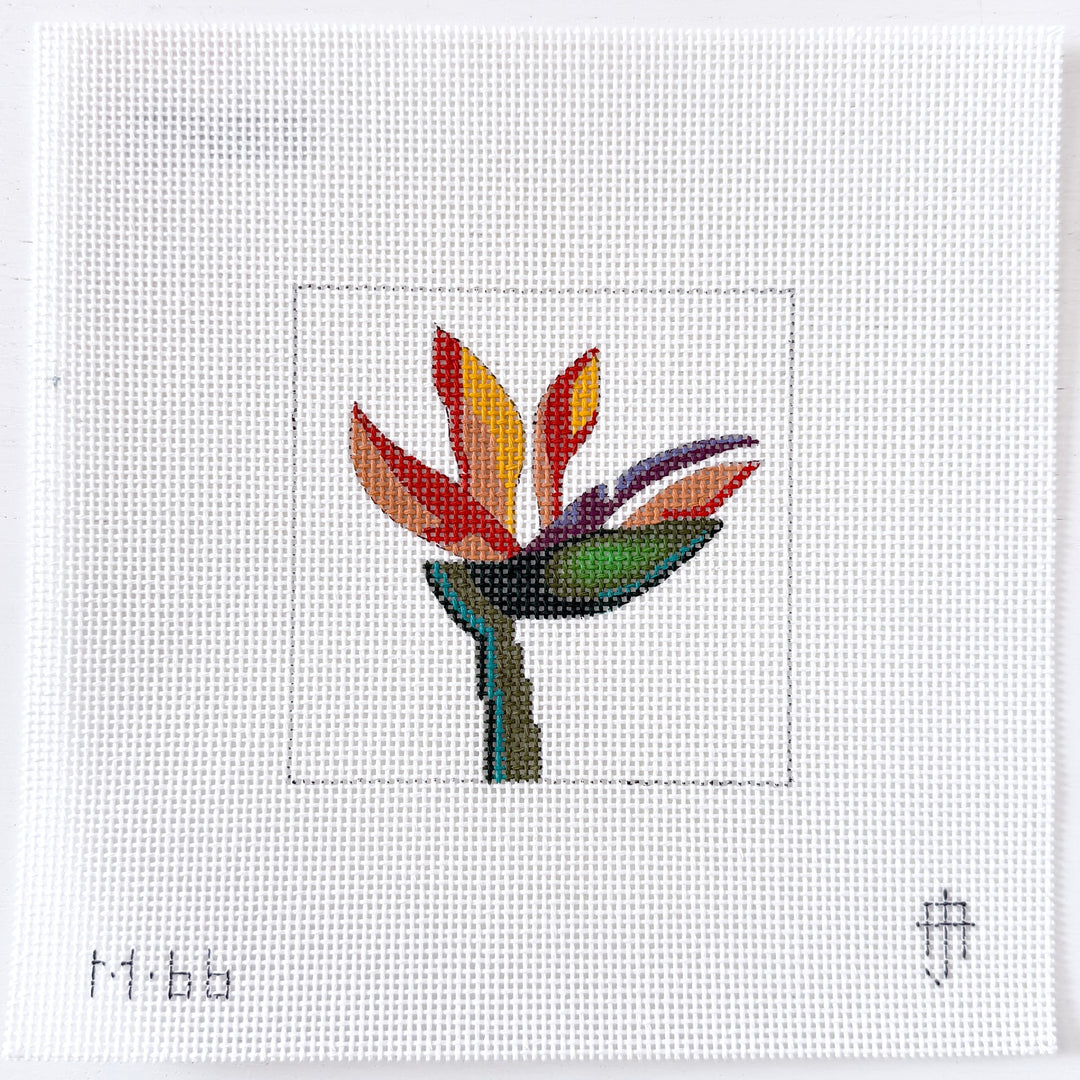 Bird of Paradise Mini