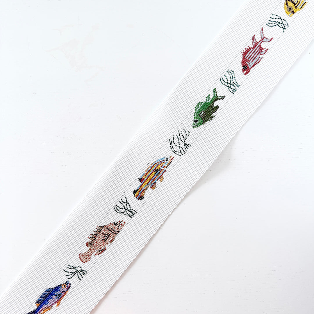 Tropical Fish Belt
